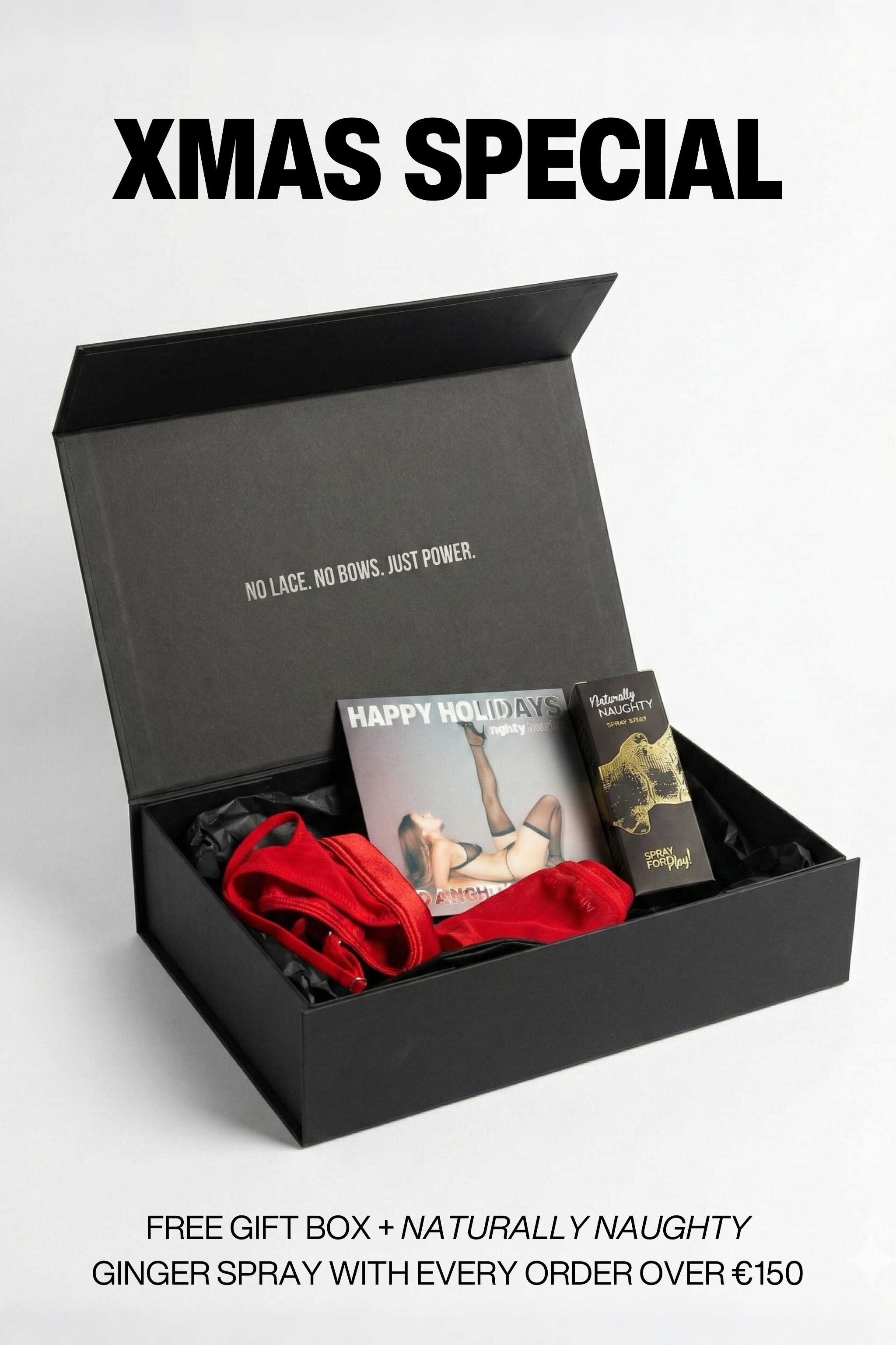 High Cut Mesh Bodysuit